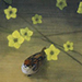 Masashi Ishigai Gallery